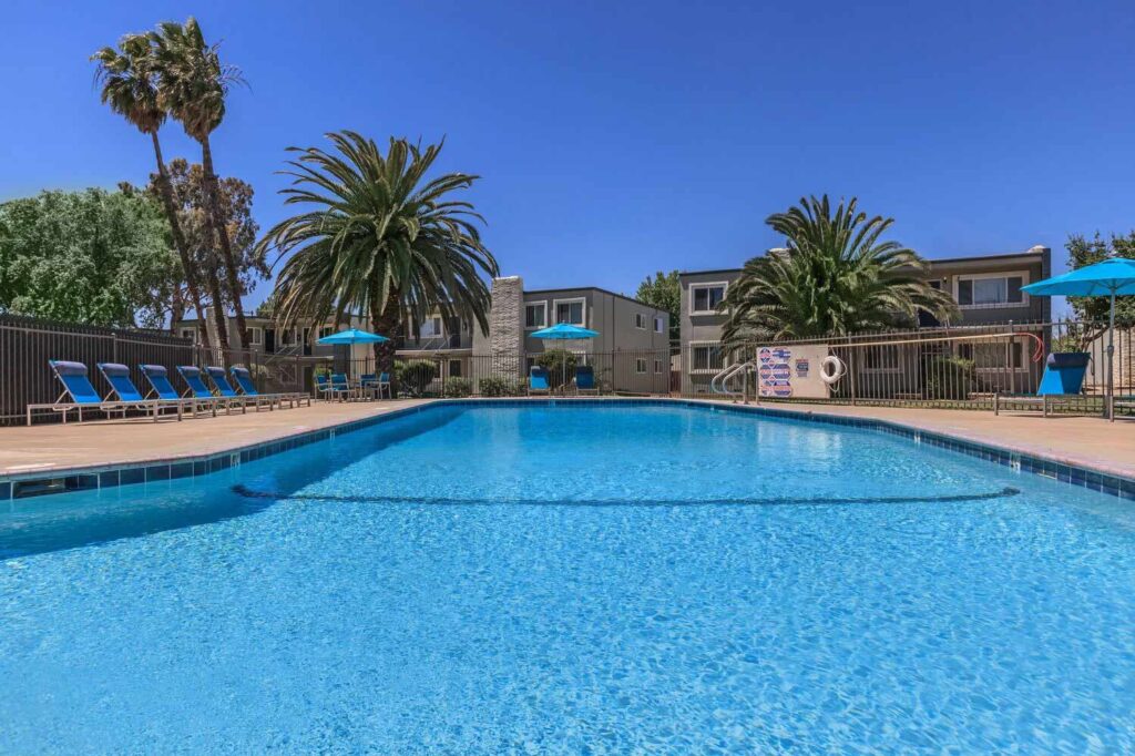 Pool with deck seating and large palm trees
